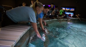 Navštivte ZOO ve Zlíně, nejoblíbenější turistické místo Moravy